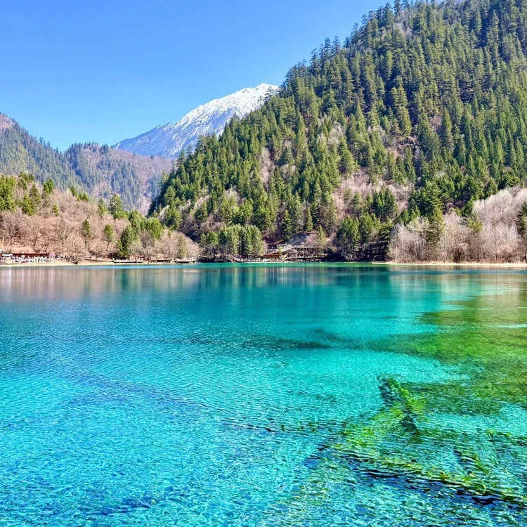 Sichuan Chengdu Jiuzhaigou Huanglong Scenic Area Tour